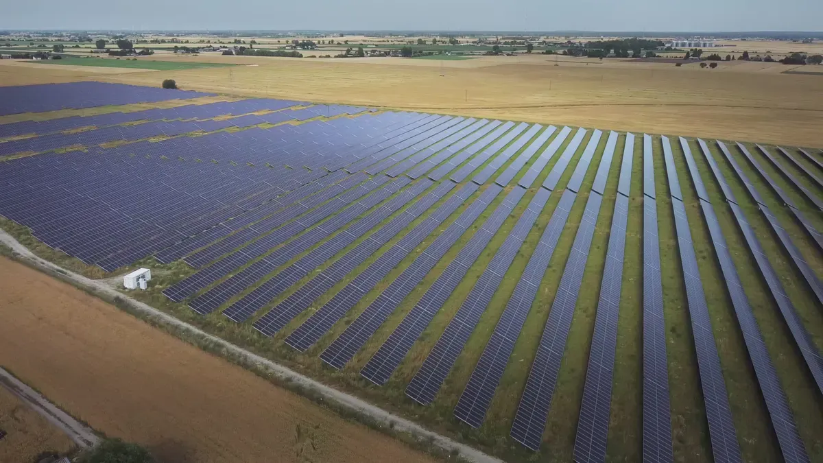 PNG Solar vs JinkoSolar vs LONGI: Comparação de Fornecedores de Painéis Solares